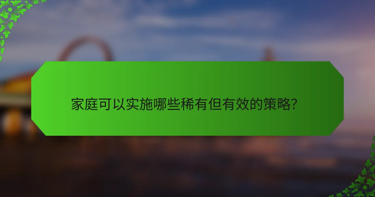 家庭可以实施哪些稀有但有效的策略？