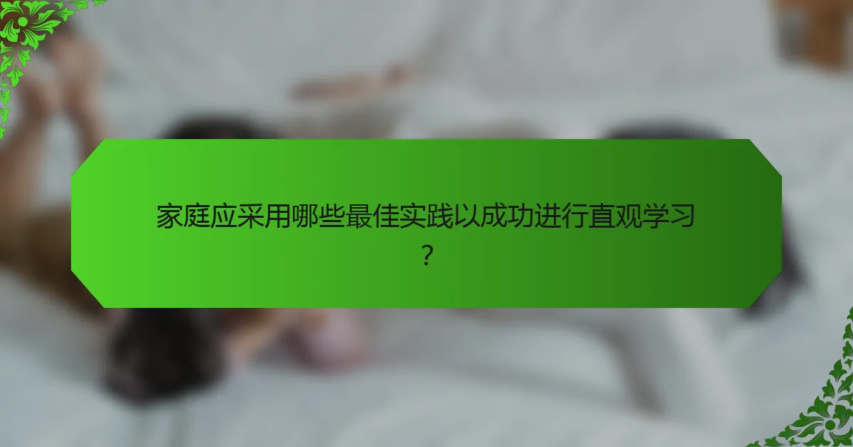 家庭应采用哪些最佳实践以成功进行直观学习?