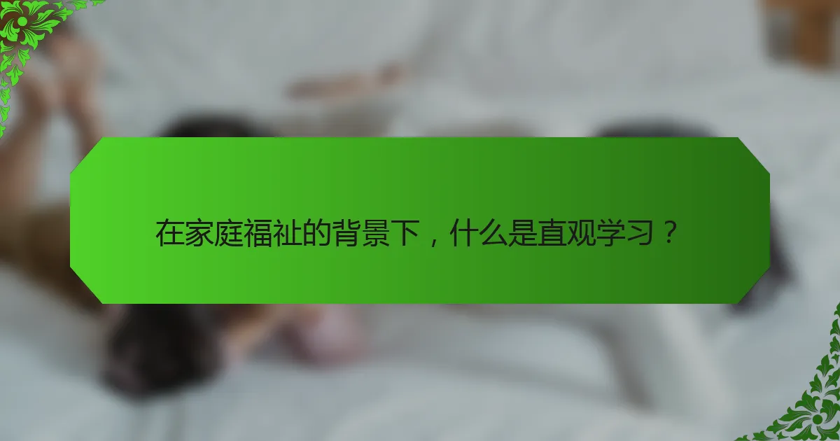 在家庭福祉的背景下,什么是直观学习?